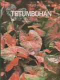 Tetumbuhan