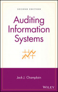 Auditing Information Systems