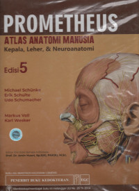 Prometheus Atlas Anatomi Manusia Kepala, Leher & Neuroanatomi