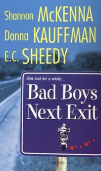 Bad Boys Next Exit