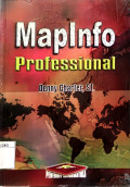 MapInfo Professional