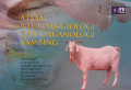 Atlas Neuroangiologi dan Organologi Kambing