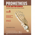 Prometheus Atlas Anatomi Manusia Anatomi Umum dan Sistem Gerak