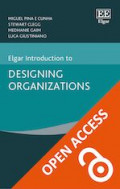 Elgar Introduction to Designing Organizations