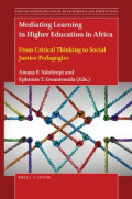 Mediating Learning in Higher Education in Africa