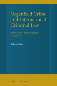 Organized Crime and International Criminal Law	4