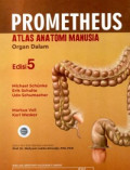 Prometheus Atlas Anatomi Manusia Anatomi Organ Dalam