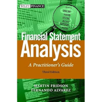 Financial Statement Analysis = A Practitioner's Guide